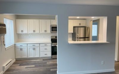 Small Commercial Apartment Remodeling Contractor Minneapolis Area
